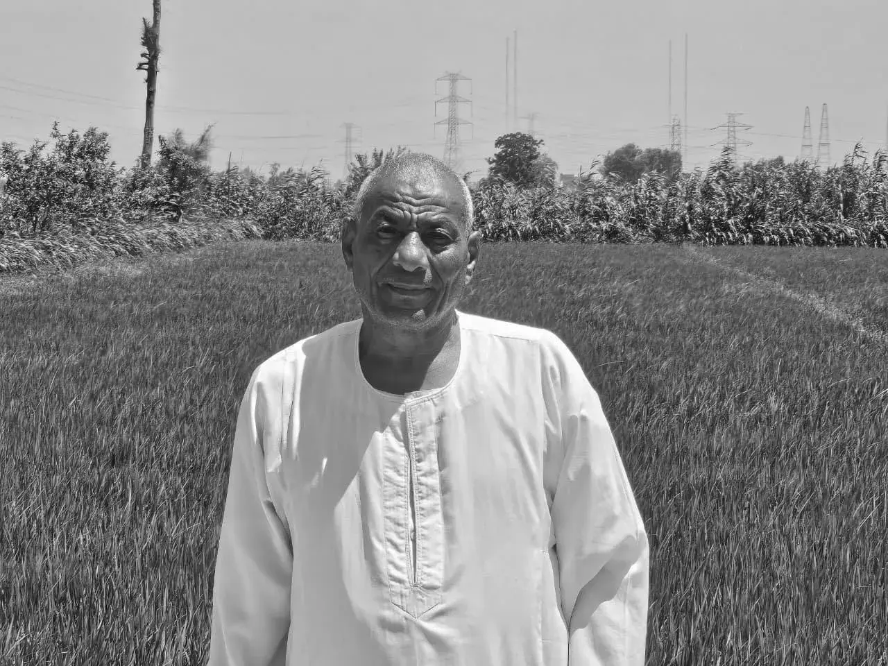 Hajj Hamed Abdullah