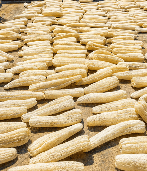 Egyptian loofah drying in the sun
