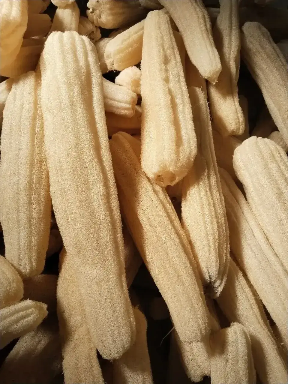 Raw Loofah (Raw Material Bales) thumbnail 5
